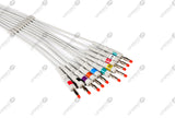 Midmark Compatible One Piece Reusable ECG Cable - AHA - 10 Leads Banana