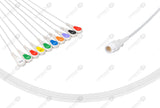 Philips Compatible One Piece Reusable ECG Cable-989803128951 10 Leads Snap