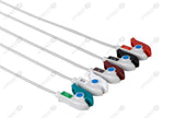 Biolight Compatible One Piece Reusable ECG Cable - AHA - 5 Leads Grabber