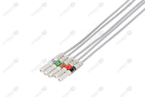 Din Compatible Reusable ECG Lead Wire - AHA - 5 Leads Snap