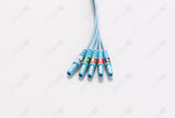 AAMI Radiolucent Disposable ECG Lead Wire - AHA - Din Type/Grabber