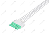 Drager Compatible Reusable ECG Lead Wire - AHA - 5 Leads Snap 5ft