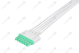 Drager Compatible Reusable ECG Lead Wire - AHA - 5 Leads Snap