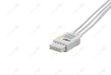 Datascope Compatible Reusable ECG Lead Wire - IEC - 5 Leads Snap