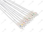 GE CAM 14 Compatible EKG Lead Wire - AHA - Without Adapters 10 Leads