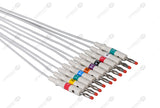 GE/Marquette Compatible Diagnostic ECG Cardiography shielded - AHA - 10 Leads 4mm Banana
