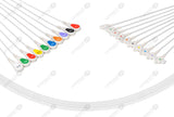 GE/Marquette Compatible Diagnostic ECG Cardiography shielded 10 Leads Snap