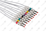 Philips Compatible Diagnostic ECG Cardiography shielded - IEC - 10 Leads 4mm Banana