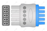 Siemens Compatible Reusable ECG Lead Wire - AHA - 5 Leads Snap