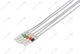Din Compatible Reusable ECG Lead Wire - AHA - 5 Leads Grabber