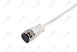 Quinton Compatible One Piece Reusable EKG Cable 19pin monitor end
