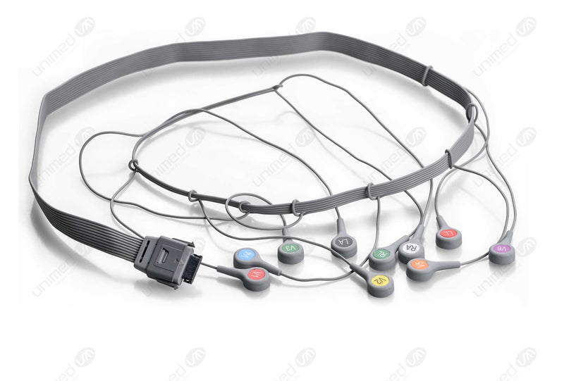 Bi-Biomed Compatible Holter ECG Cables - AHA - 10 Leads