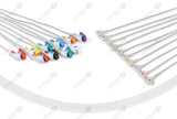 Philips Compatible Diagnostic ECG Cardiography shielded 10 Leads Grabber
