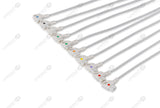 Philips Compatible Diagnostic ECG Cardiography shielded - AHA - 10 Leads Grabber