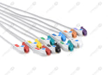 Philips Compatible Diagnostic ECG Cardiography shielded - AHA - 10 Leads Grabber