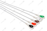 Spacelabs Compatible Reusable ECG Lead Wire - AHA - 5 Leads Snap