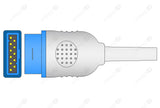 GE RD Rainbow SET SpO2 Interface Cable - Flat 11-pin Dual-keyed Connector
